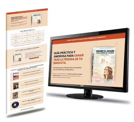 Landing Page de Afiliado Web Express